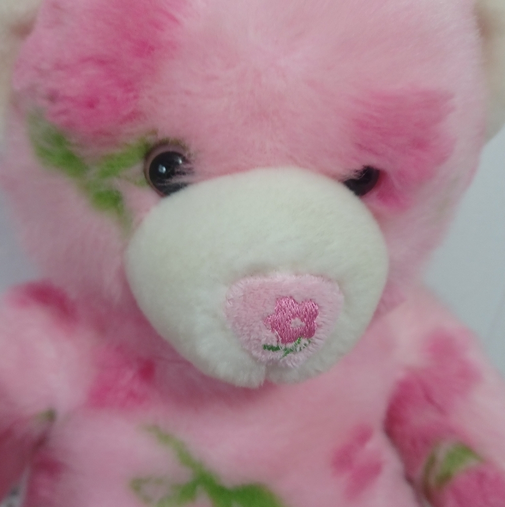 Spring Hugs Build-A-Bear - Picture 4 of 11